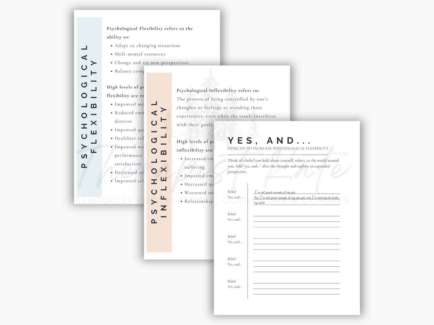 Psychological Flexibility