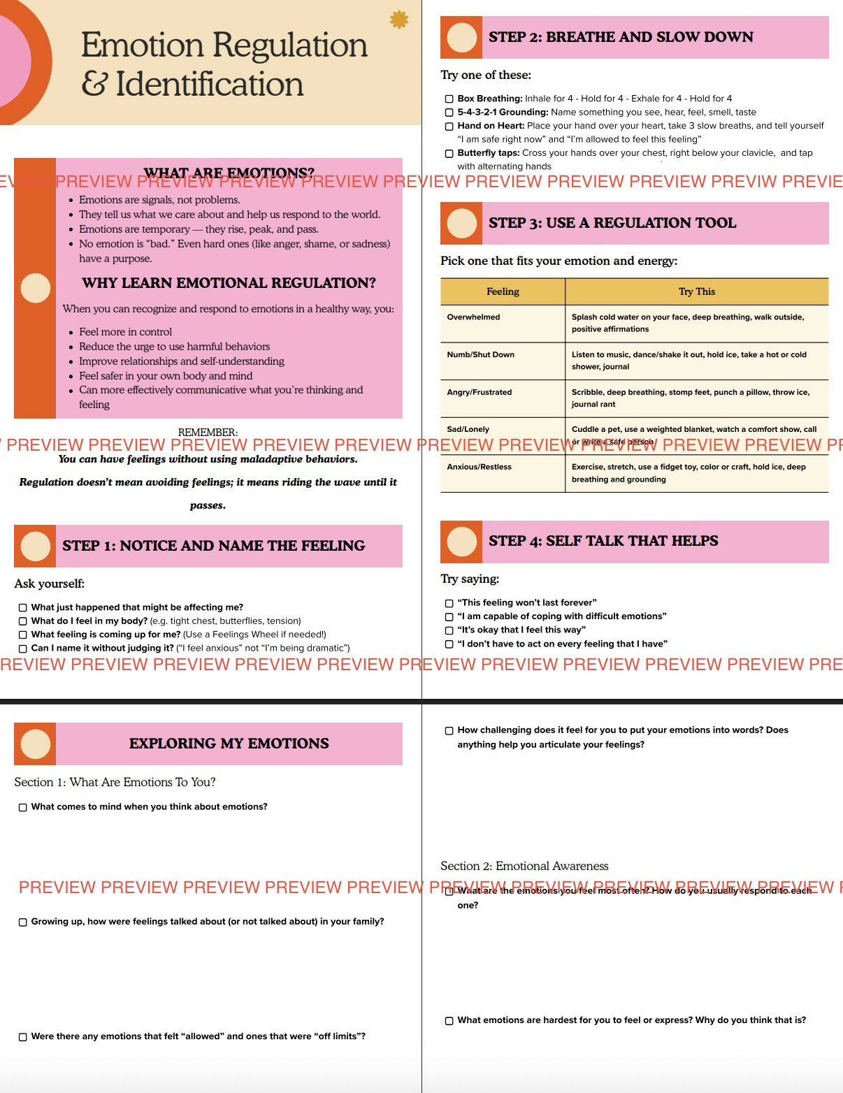 Emotion Identification and Regulation