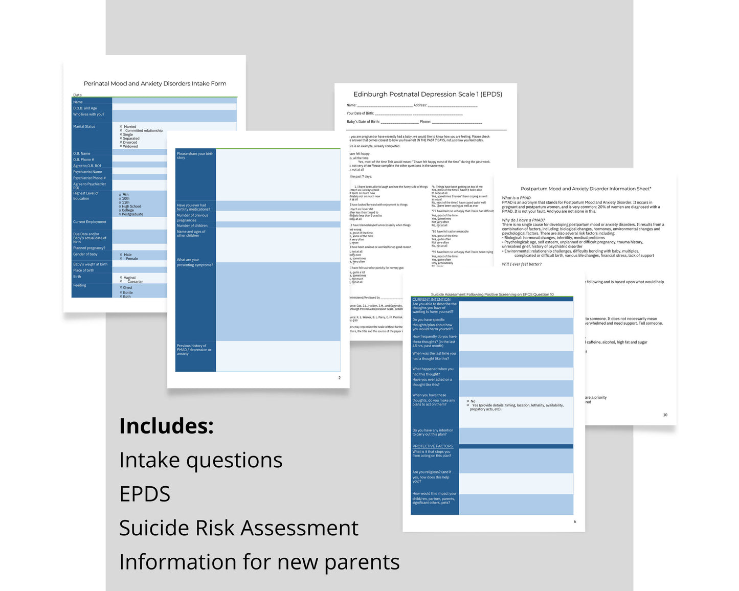 perinatal mood and anxiety disorders intake assessment
