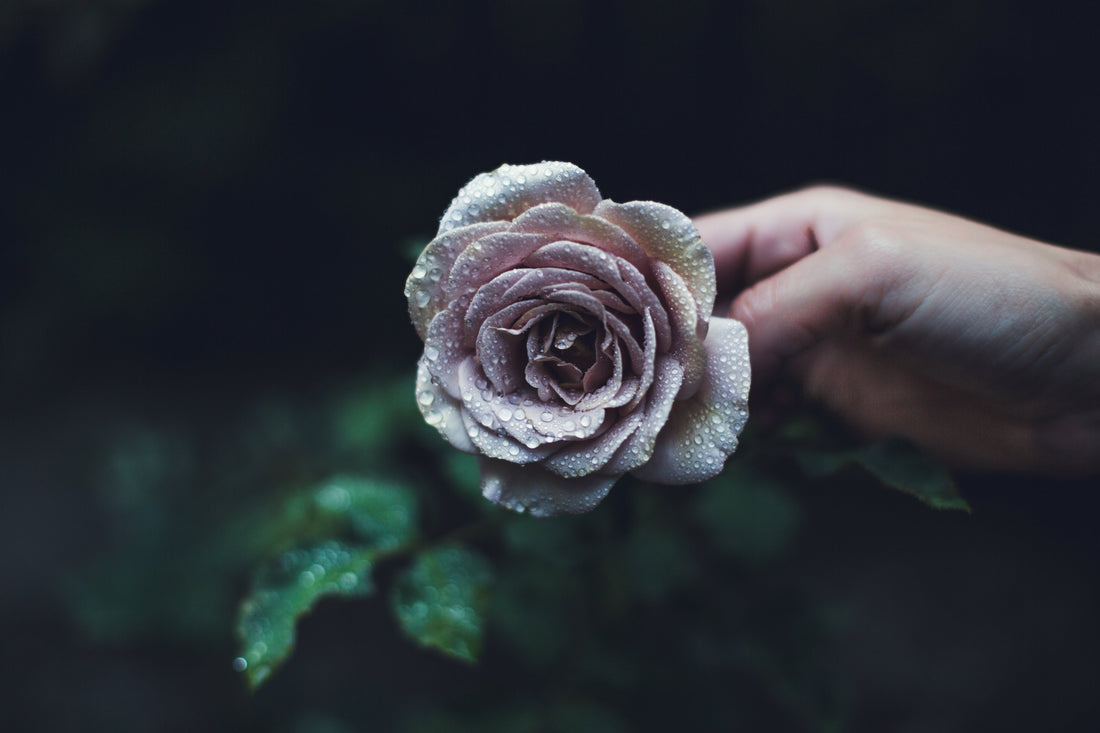 Encouraging Development of a Strong Sense of Self in Therapy