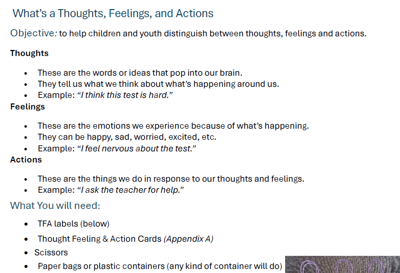 Brain Under Maintenance: No Bugs Please! Helping Kids (and adults) Catch Buggy Thoughts and Feel Better