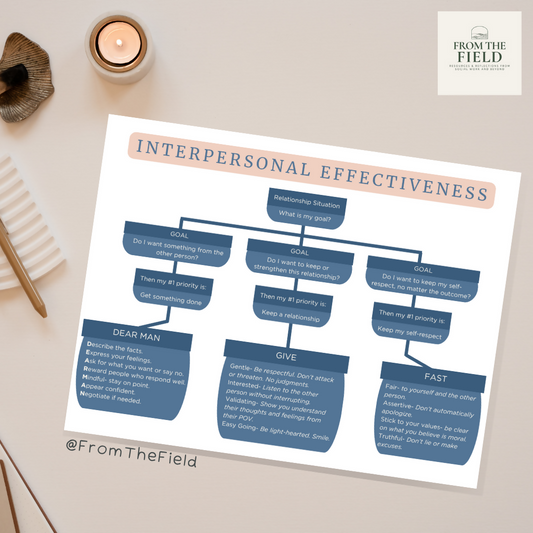 DBT Interpersonal Effectiveness Flowchart Mockup