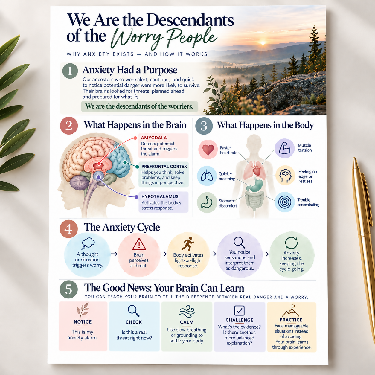 The Anxious Brain: Why We Worry & How Anxiety Works CBT Handout