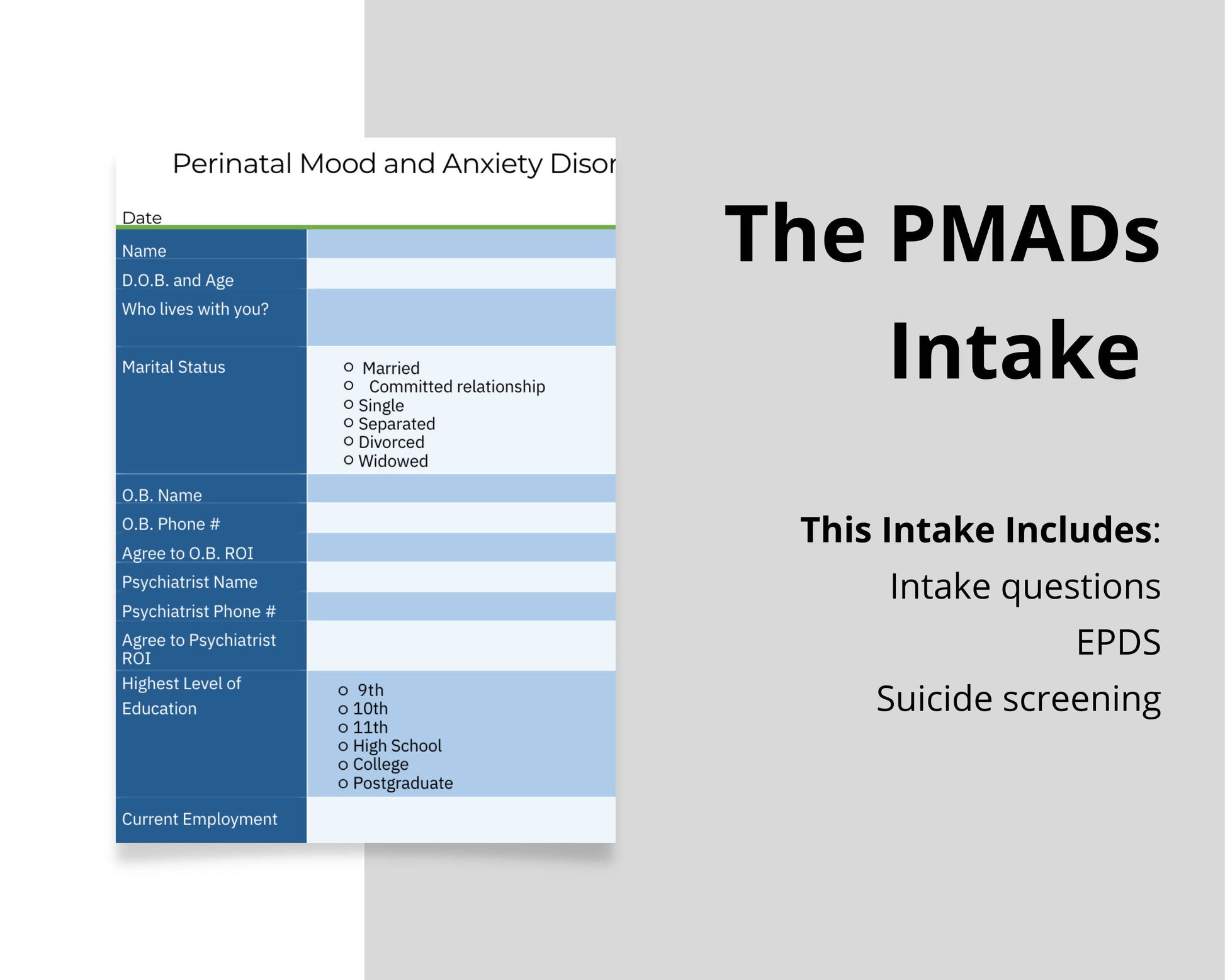 Pmad Perinatal Mood and Anxiety Disorders Intake Assessment